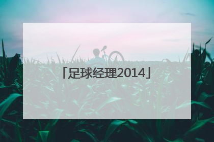 「足球经理2014」足球经理2014怎么设置中文